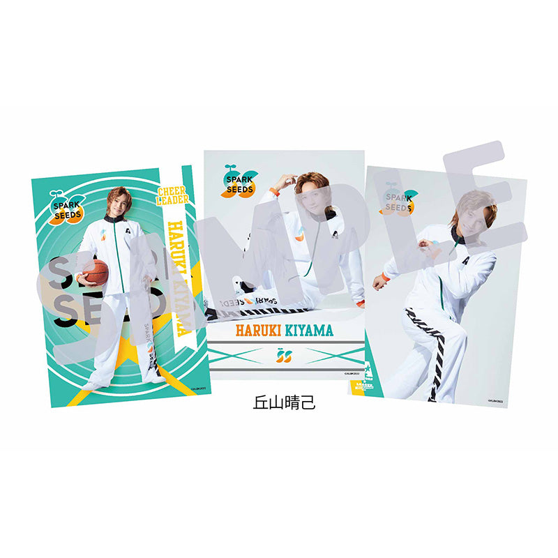 ブロマイドセット（選手以外） – ACTORS☆LEAGUE ONLINE STORE