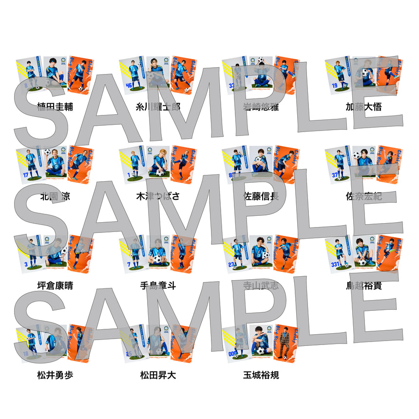 『ACTORS☆LEAGUE in Futsal 2025』ブロマイド3枚セット Cheeky Blue Hounds