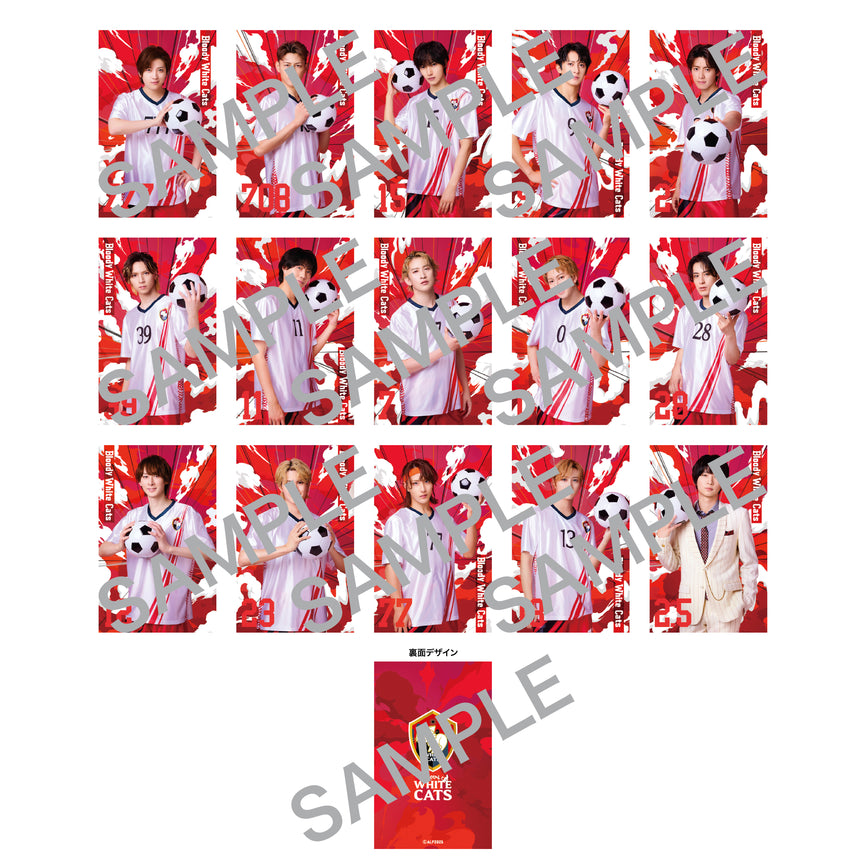 『ACTORS☆LEAGUE in Futsal 2025』ランダムカードA