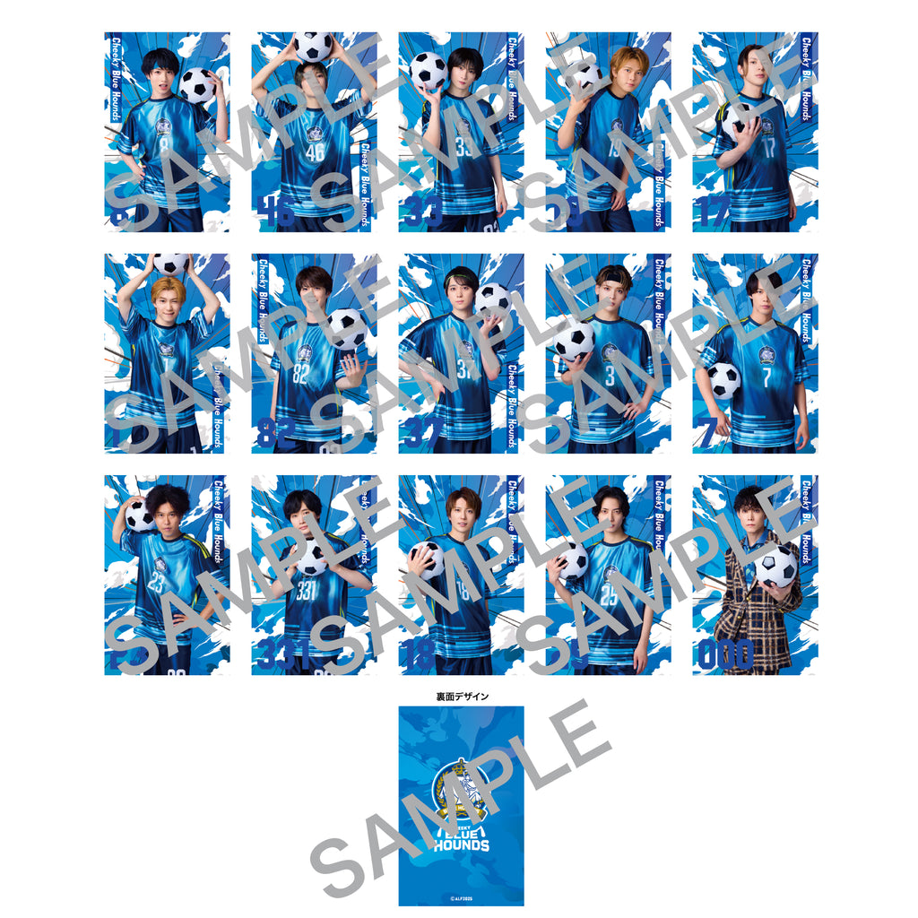 A_CBH_1024x.jpg?v=1756946509